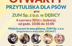 Dzień Otwarty Przytuliska dla psów przy ZUM w Dębicy