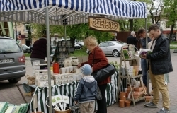 Jarmark Nasion, Drzew i Krzewów, Zieleni Ozdobnej i Ogrodowej – rozpoczęty! + foto