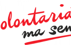 Projekt "Wolontarystyczny zawrót głowy"