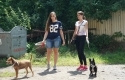 II Dzień Otwarty Przytuliska