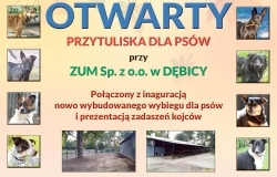 III Dzień Otwarty Przytuliska dla psów przy ZUM w Dębicy juz w najbliższą sobotę