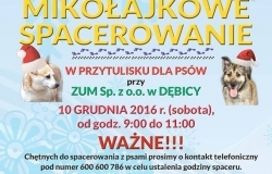 Mikołajkowe spacerowanie z psami