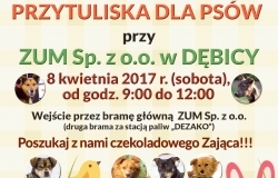 Poszukaj z nami czekoladowego zająca - Dzień otwarty w Przytulisku dla psów