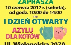 WITAMY U KOTÓW!!!