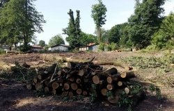 Mieszkanie plus