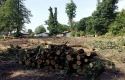 Mieszkanie plus