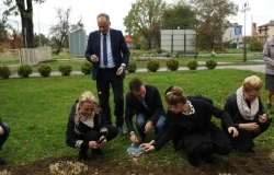 Pola Nadziei - sadzenie żonkili przed ratuszem