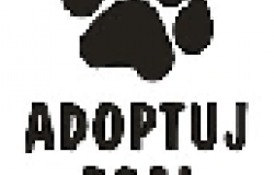 Adoptuj psa