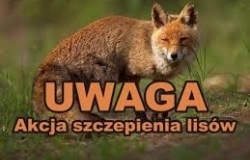 Komunikat Podkarpackiego Wojewódzkiego Lekarza Weterynarii