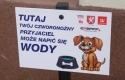 Miski z wodą dla piesków w Dębicy od firmy Tikkurila