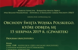 Święto Wojska Polskiego w Dębicy 2019