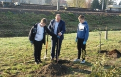 Sadzenie drzew miododajnych