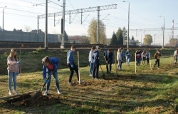 Sadzenie drzew miododajnych, sposobem na ochronę bioróżnorodności w województwie podkarpackim