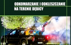 Ogłoszenie o zabiegach zwalczania komarów i kleszczy na terenie Dębicy