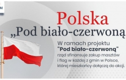 Maszt z biało-czerwoną flagą w Dębicy. Zagłosuj!