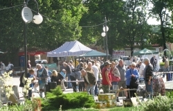 Jarmark - sierpień 2015