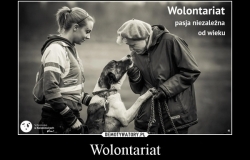 Informacja OTOZ Animals - Wolontariat dla chętnych