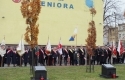 plac Solidarności 11.11