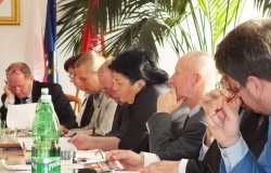 „Służyć i dbać o bezpieczeństwo” - polityka bezpieczeństwa i porządku publicznego na lata 2016-2019 Miasta Dębica