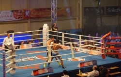 Gala Boksu - 1 kwietnia MOSiR